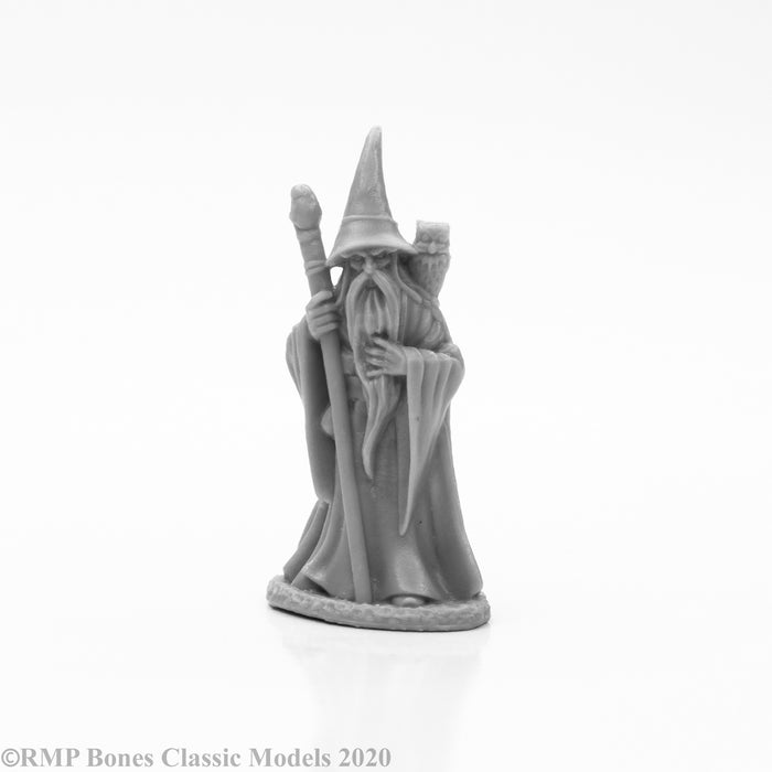 Reaper: Bones: Anuminar Winterbeard, Wizard