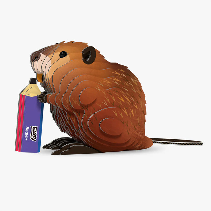 Eugy - Beaver