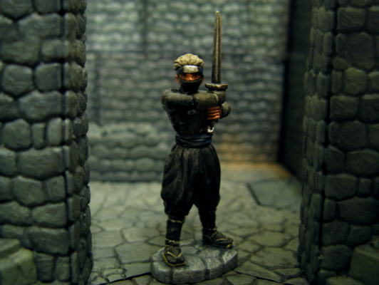 Aurora Model - Ninja