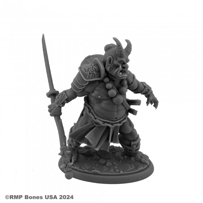 Reaper: Dungeon Dwellers: Ogre Magi