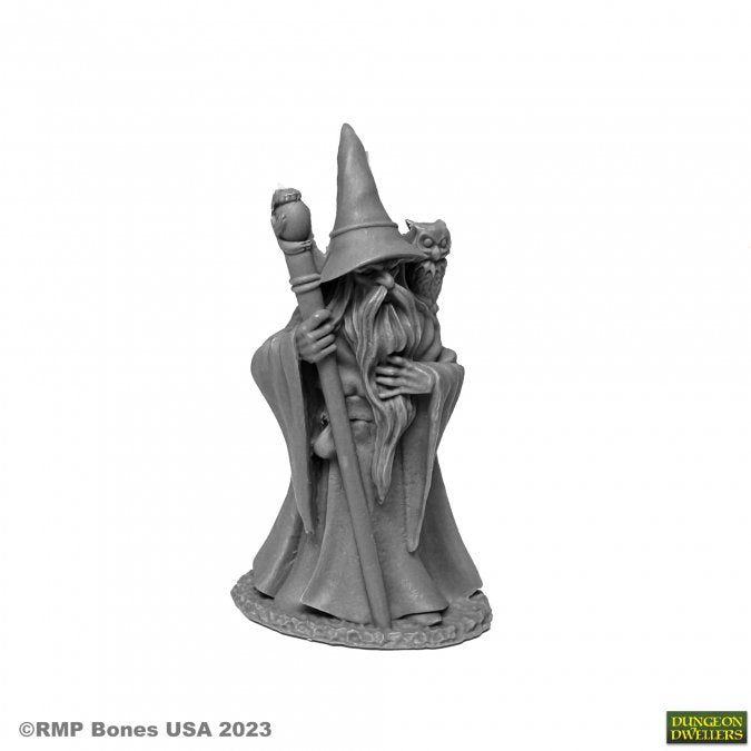 Reaper: Dungeon Dwellers: Anuminar Winterbeard Wizard