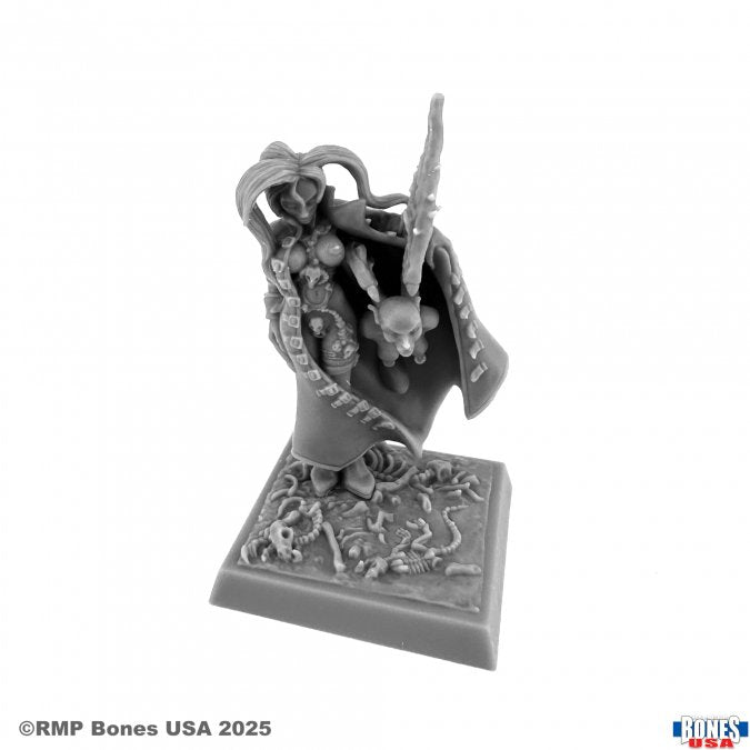 Reaper: Dungeon Dwellers: Chaos Sorcerer
