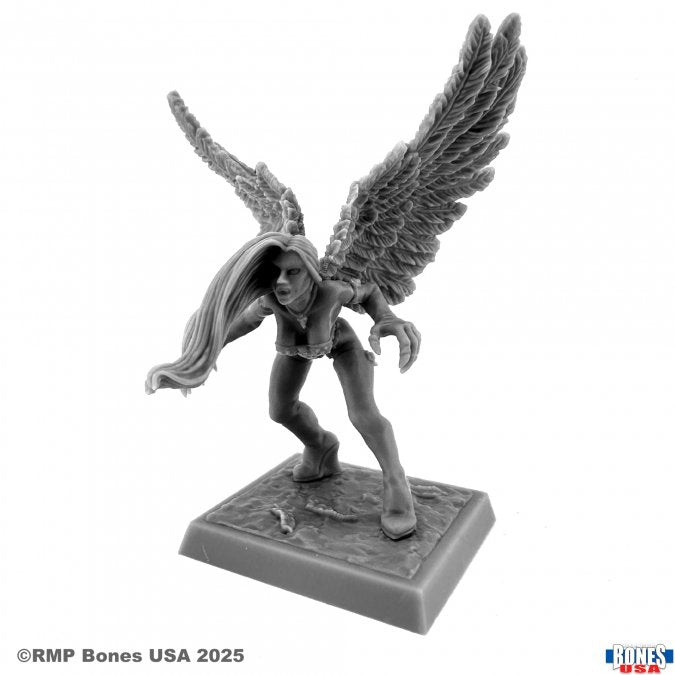 Reaper: Dungeon Dwellers: Raven