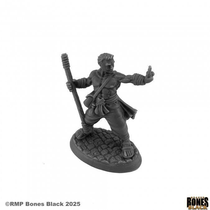 Reaper: Bones Black: Jakob, Human Monk