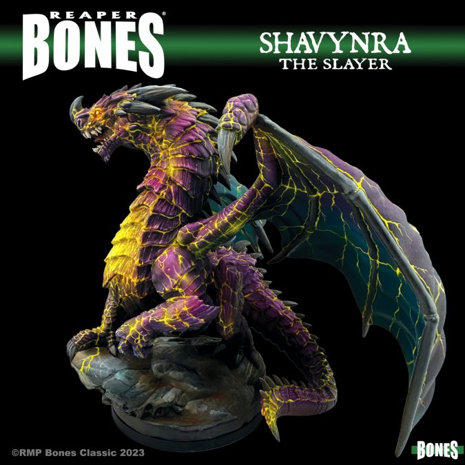 Reaper Bones: Shavynra the Slayer