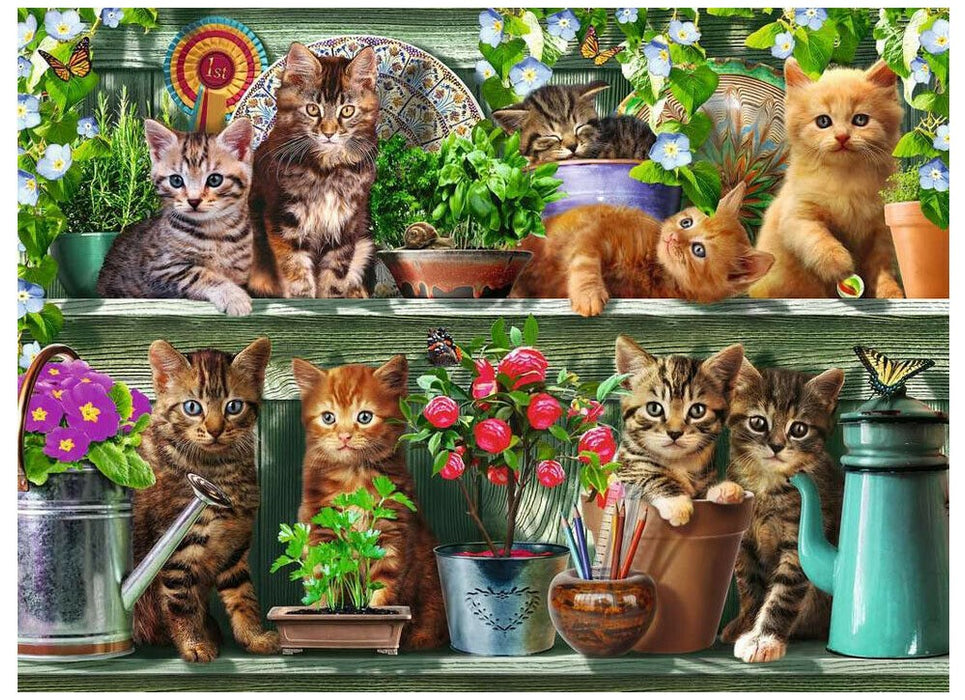 Ravensburger - Cats on the Shelf Puzzle 500 pieces