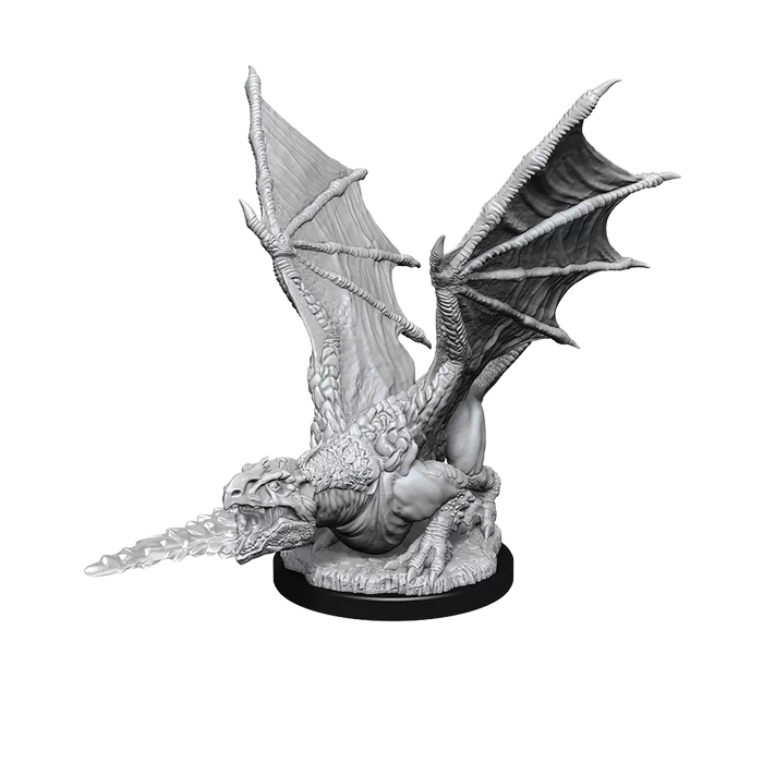 D&D Nolzurs: White Dragon Wyrmling