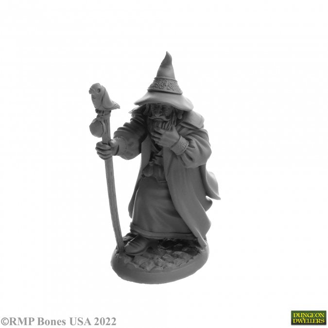 Reaper: Dungeon Dwellers: Landol Griwsold, Human Wizard