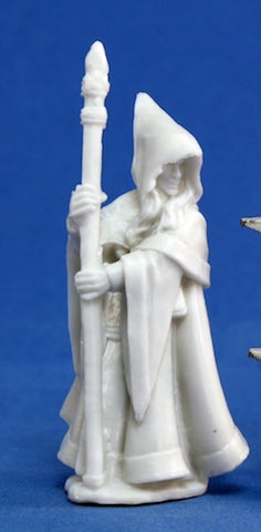 Reaper: Bones: Anirion, Wood Elf Wizard
