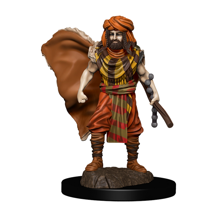 D&D Nolzurs Painted: Human Druid Male