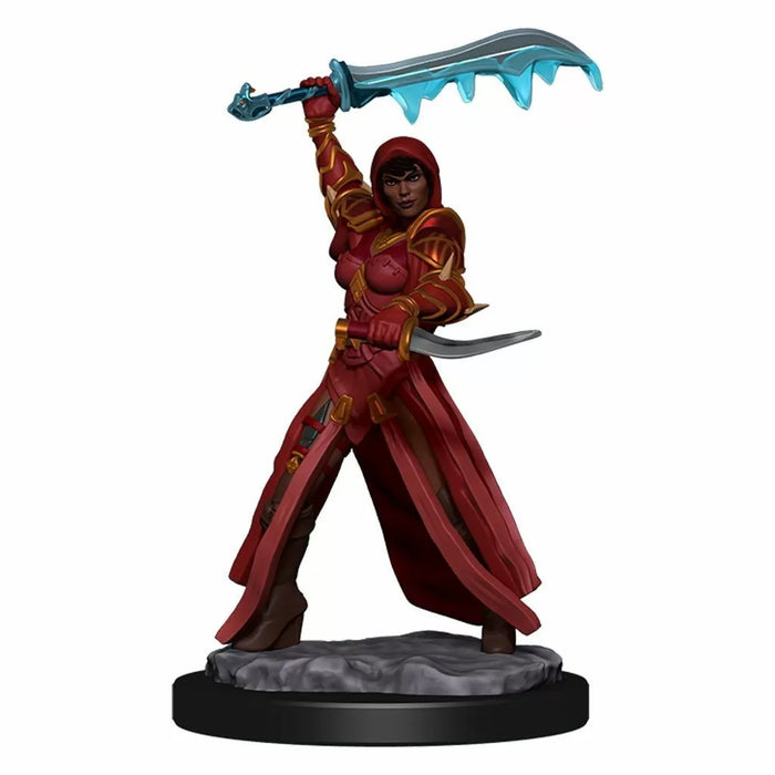 D&D Nolzurs Painted: Human Rogue Female