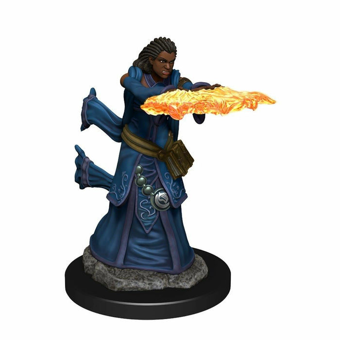 D&D Nolzurs Painted: Human Wizard