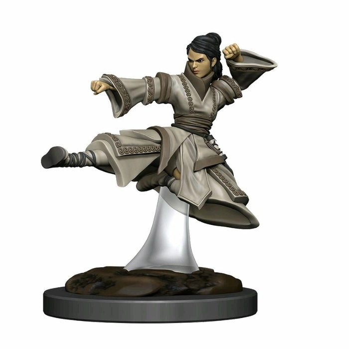 D&D Nolzurs Painted: Human Monk Female