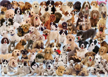 Ravensburger - Dogs Galore! Puzzle 1000 piece